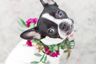 Ava Moore Photography - 24