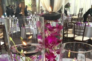 Tulip – Blooming Creations - 43