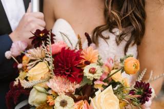 jill hoyle photography - 15