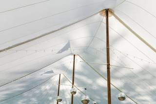 Wildly Rooted Weddings - 6