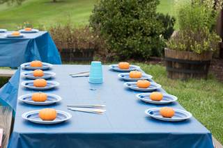 Dailey Forte Designs - 35
