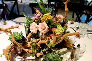Amy Kate Designs - 66