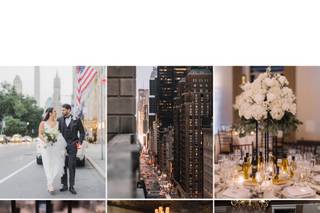 Ashley Brignolle LLC - 10