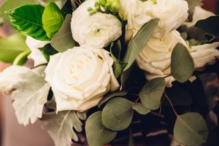 Blue Vanda Designs - 26