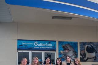 Gulfarium Marine Adventure Park - 21