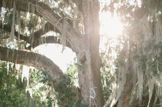 Pure Luxe Bride - 21