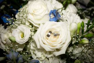 Shado of a Rose Photography - 7