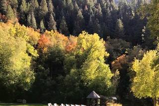 Log Haven - 52