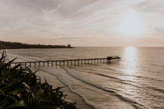 Shelly Anderson Photography - 14