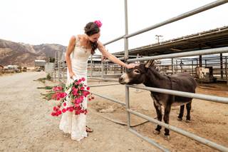 Forma Weddings - 38