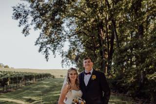 Sanders Ridge Vineyard & Winery - 7