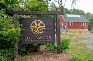 Lotuswood Organic Wellness Farm - 8