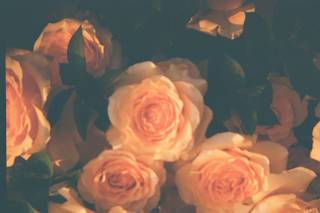 Courtney Kent Photography - 35