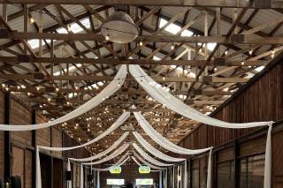Under The Vine Events - 17