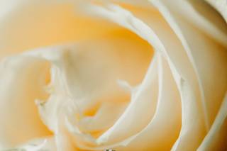 Andrew Hayden Photography - 5