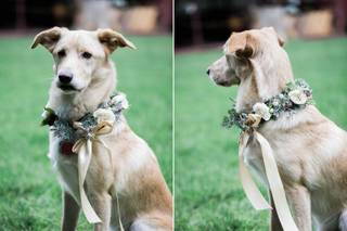 Jessica Jaccarino Photography - 14