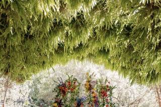 Florencia Florals - 6