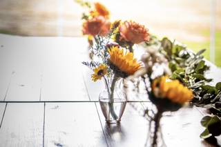 Mark Hartfeld Photography - 9