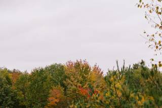 J. Lebron Photography - 9