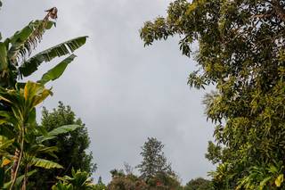Karen Loudon Photography - 11