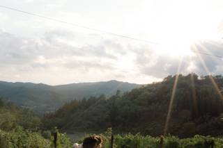 Tenuta Riseccoli - 8