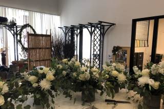 Strelitzia Flower Company - 33