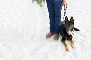Melissa Wilson Photography - 5