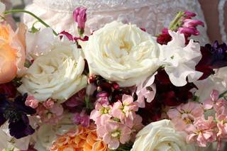 Abundant Blooms - 1
