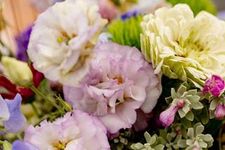 Poppin' Peonies Floral - 8