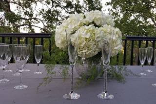 Robyn Diane Events - 17
