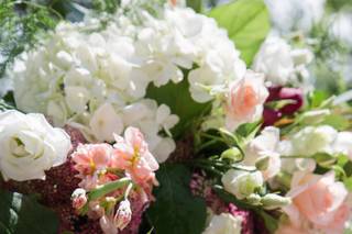 Flowers by Tami - 161