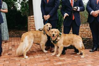 Madeline Isabella Photography - 6