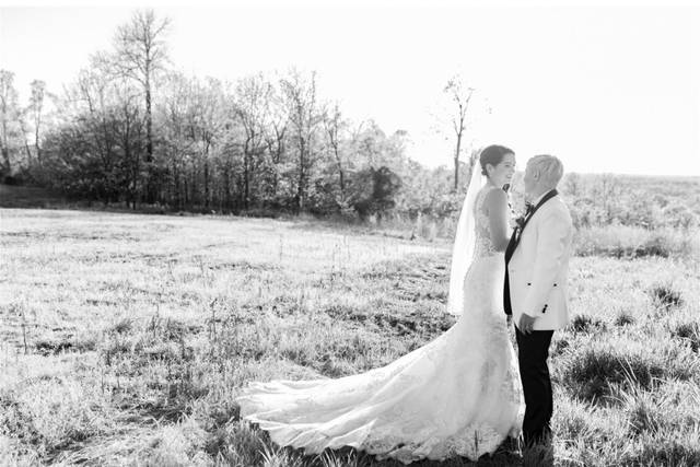 Liz Courtney Photography 4