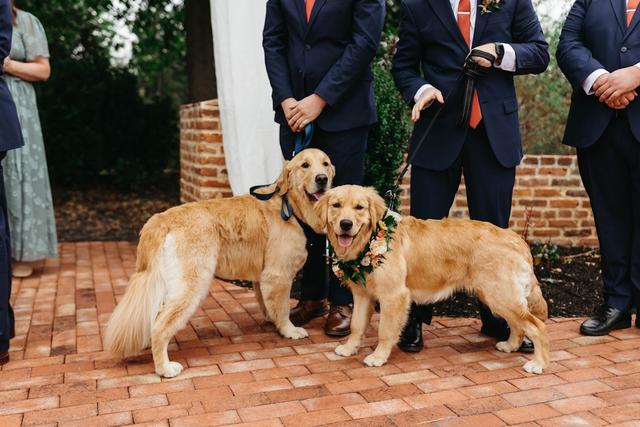 Madeline Isabella Photography - 1