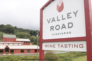 Valley Road Vineyards - 22