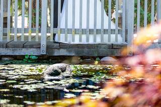 Keith Hartman Photography - 51