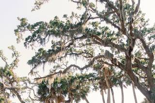 Bay Preserve at Osprey - 7