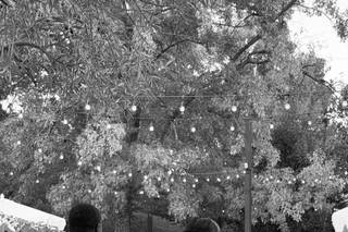 Lisa McAdams Boutique Events - 6