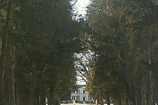 Belle Grove Plantation - Bed & Breakfast - 18