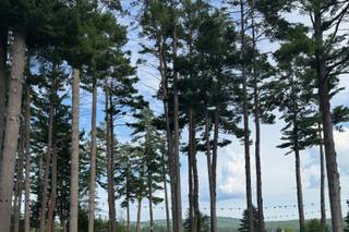 The Lodge at Schroon Lake - 5