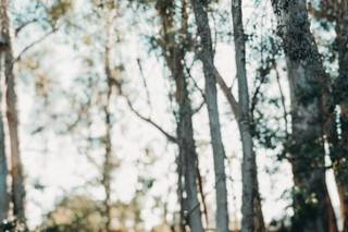 Devine_Floral Designs - 30