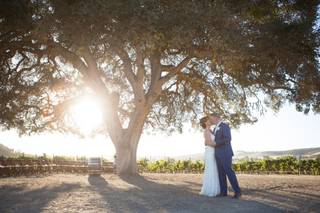 Cass Winery - 19