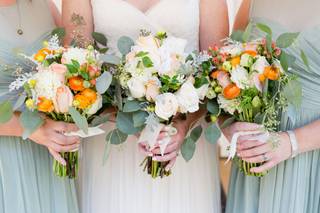 Lisa Mims Photography - 17