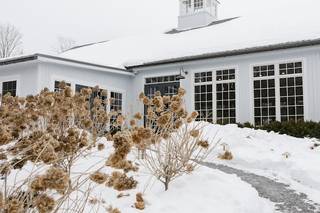 Milea Estate Vineyard - 5