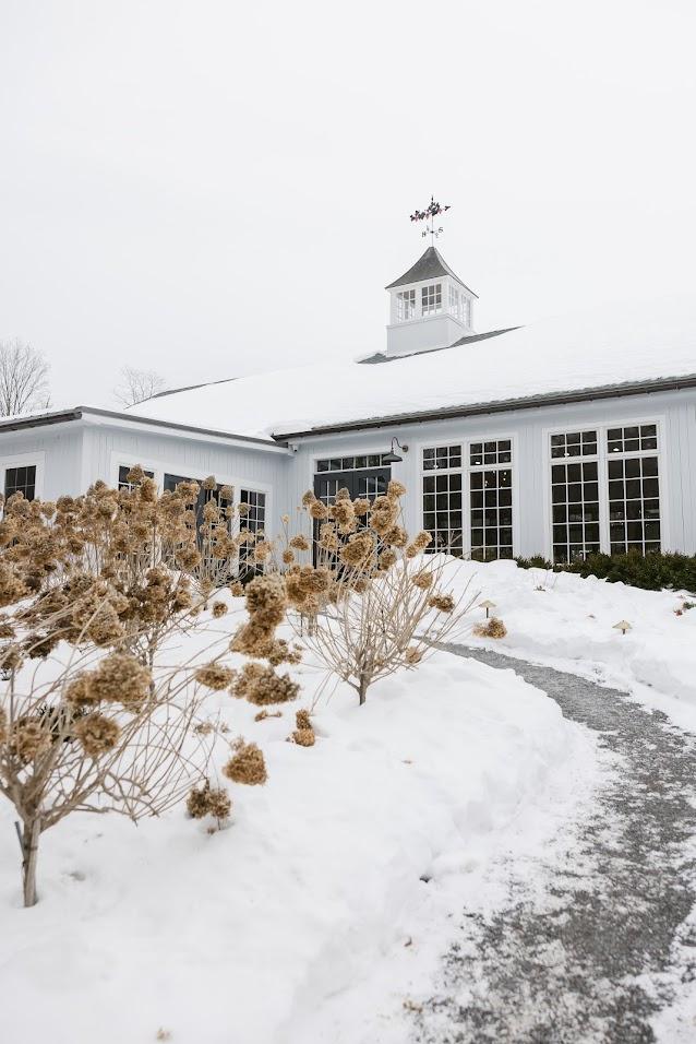 Milea Estate Vineyard - 2