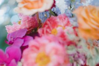 Meandering Media - 9