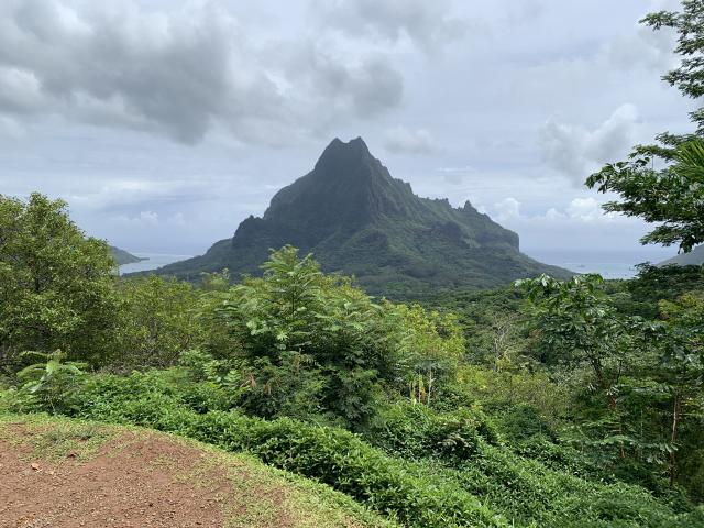 Tahiti Legends - 4
