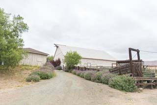 Spreafico Farms - 27