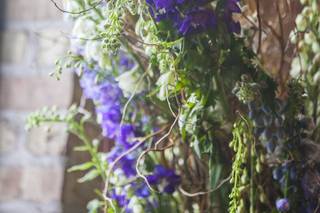Town & Country Gardens - 147