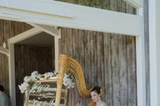 Kristin Szandzik, Harpist - 4